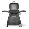 Weber Q 3200 Gas Barbecue -Outdoor Furniture 3200qbbq1111