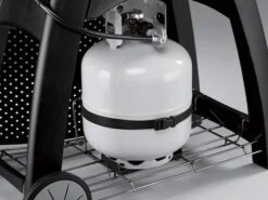 Weber Q 3200 Gas Barbecue -Outdoor Furniture 3200qbbq9999