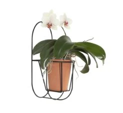 Wall Cibele Small Plant Stand -Outdoor Furniture 4 8 128