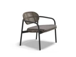 Roii Lounge Chair