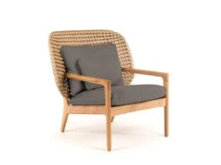 Kay Low Back Lounge Chair - Harvrest/Fife Platinum