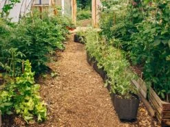 Planter Cut To Order -Outdoor Furniture bacsac cut to order 4