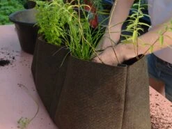 Humus Window Box - Planter -Outdoor Furniture bacsac humus window box 4