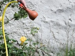 Outdoor Shower Head 12 Outdoor Shower Head -Outdoor Furniture bacsac outdoor shower head and brass nozzle 4