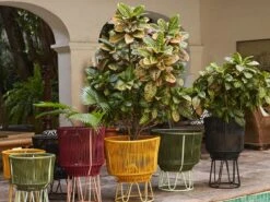 Circo Flower Pot 1 -Outdoor Furniture circo flower pot 2 1