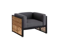 Dna Teak Lounge Chair