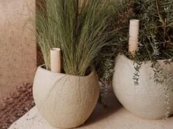 Hydrous Watering Stick, Set Of 2