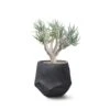 Bhaca Planter – Small 1 Bhaca Planter – Small -Outdoor Furniture indigenus bhaca small