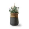 Soma Planter – Medium -Outdoor Furniture indigenus soma medium 1