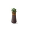 Soma Planter – Slim XS -Outdoor Furniture indigenus soma slim xs 1