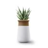 Soma Planter – Tall -Outdoor Furniture indigenus soma tall 1