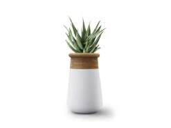 Soma Planter – Tall