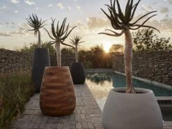 Tuber Planter – Tall 11 Tuber Planter – Tall -Outdoor Furniture indigenus tuber 1 3