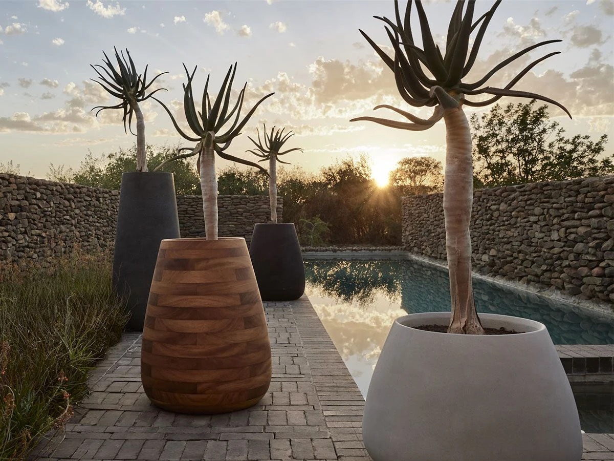 Tuber Planter – Tall 6 Tuber Planter – Tall - Image 4