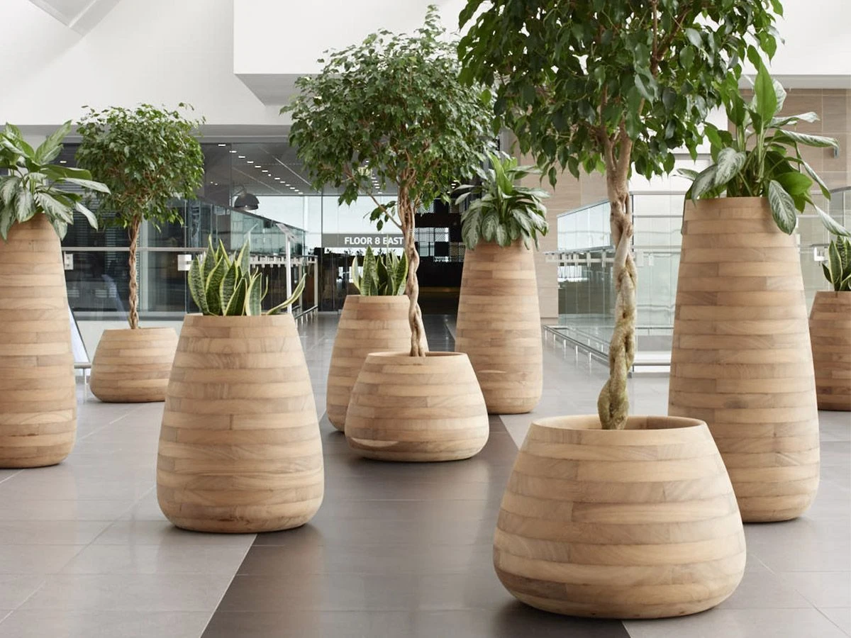 Tuber Planter – Tall 7 Tuber Planter – Tall - Image 5