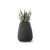 Tuber Planter – Medium -Outdoor Furniture indigenus tuber medium 1