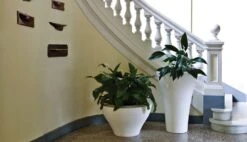 Ming High Varnished -Outdoor Furniture ming high2 1