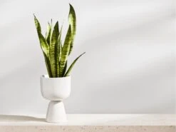 Iittala Nappula Plant Pot 23cm -Outdoor Furniture nappala 4 2