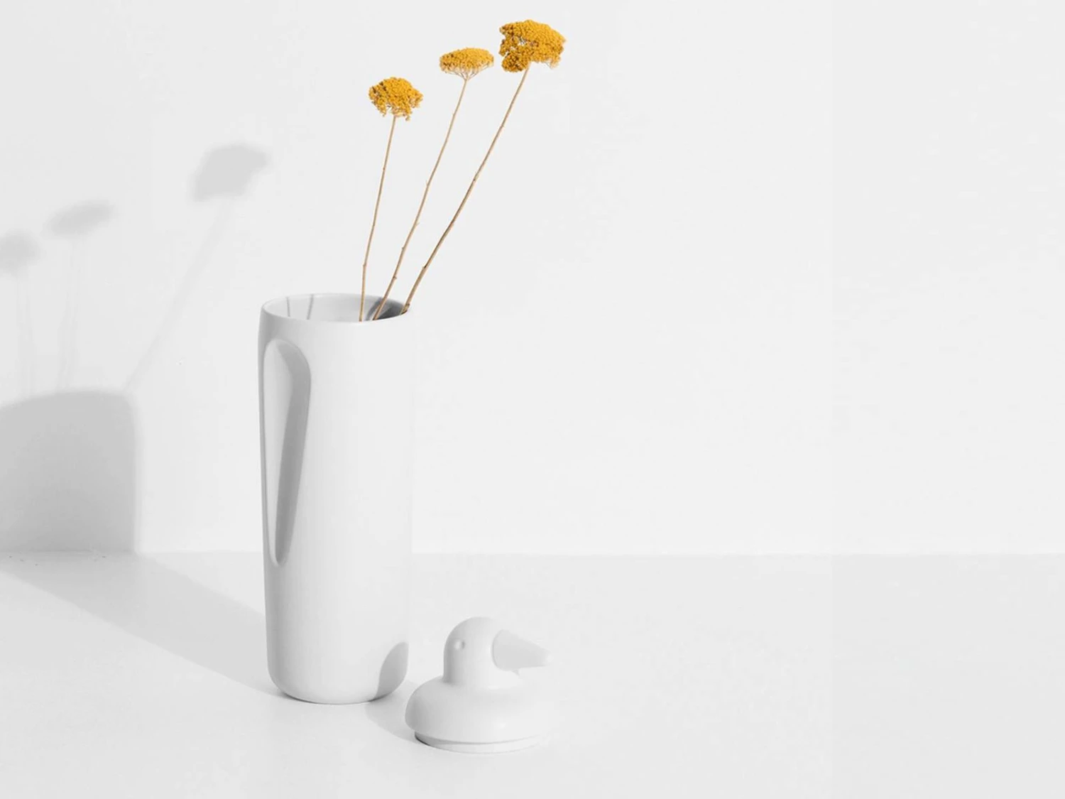 Papa Ping Contenitore 6 Papa Ping Contenitore - Image 4