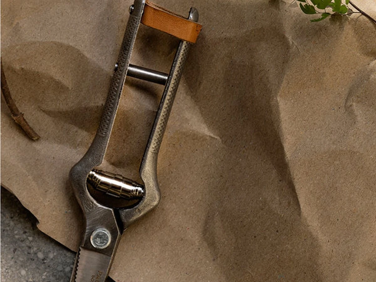 Pallarès Plant Shears 5 Pallarès Plant Shears - Image 3