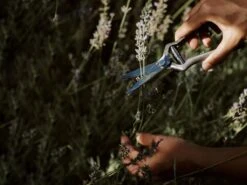 Pallarès Plant Shears 12 Pallarès Plant Shears -Outdoor Furniture plant shears pillares menu 5