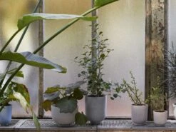 &Tradition Collect Planter SC69 -Outdoor Furniture planter sc6 0001 livello 1