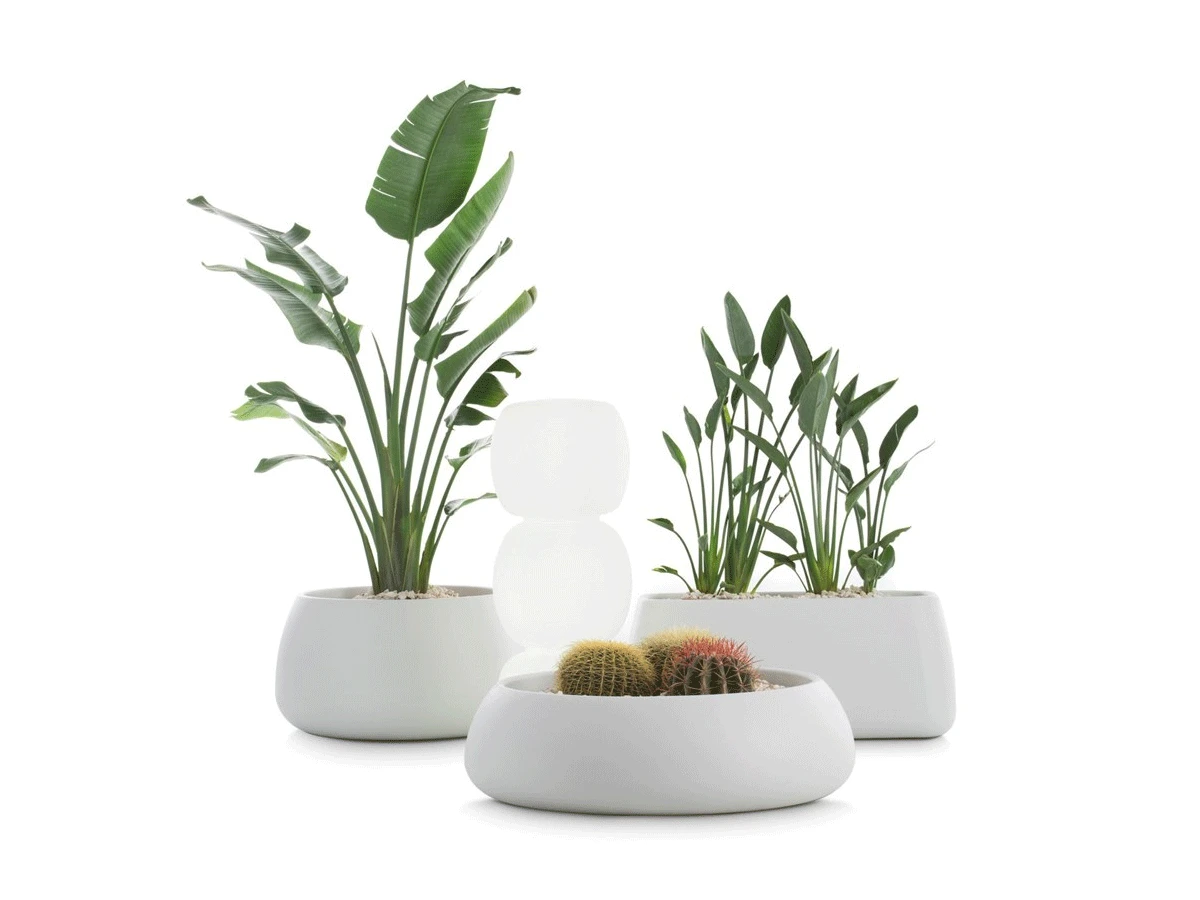 Sahara 5 Plant Pot 5 Sahara 5 Plant Pot - Image 3