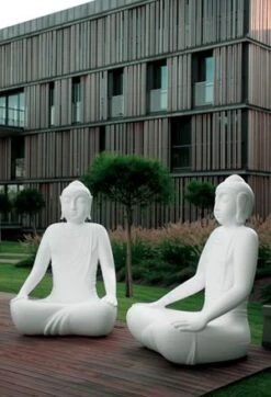 Clear Armchair -Outdoor Furniture sereno1